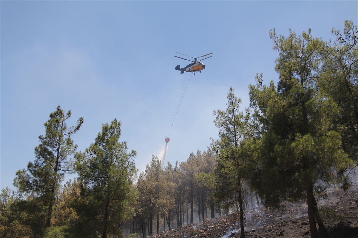 Hatay'daki örtü Yangını Kontrol Altına Alındı