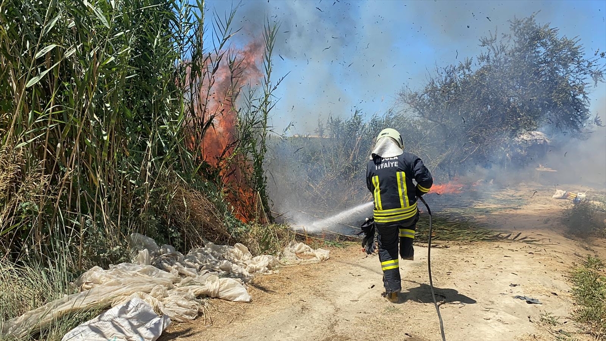 Muğla'da Park Halindeki Minibüsten Sazlığa Sıçrayan Yangın Ekipler Tarafından Söndürüldü