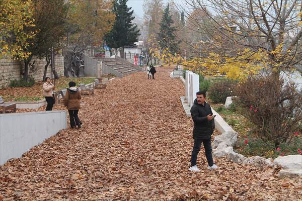 Amasya'da Sonbahar Kareleri İçin Yapraklar Toplanmadı